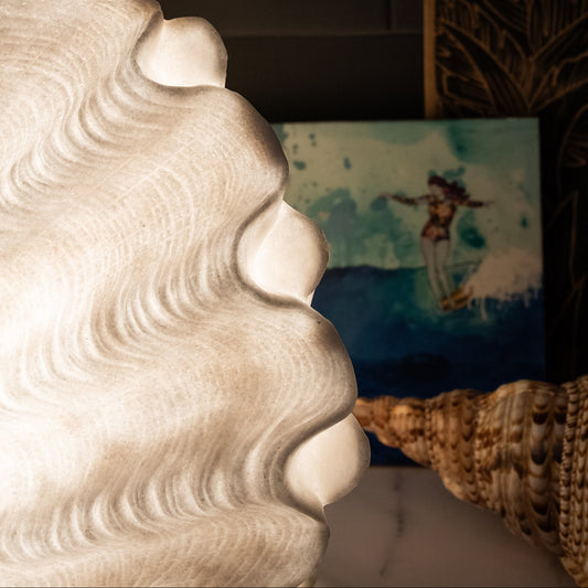 Clam Shell Reef Lamp – Coastal Night Light