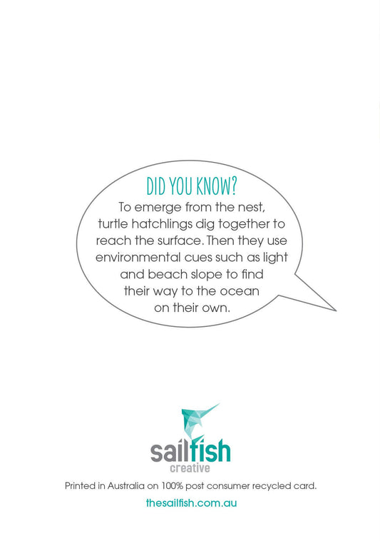 Baby Card - Baby Turtle