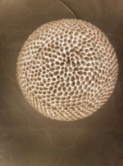 Cone Shell Reef Lamp