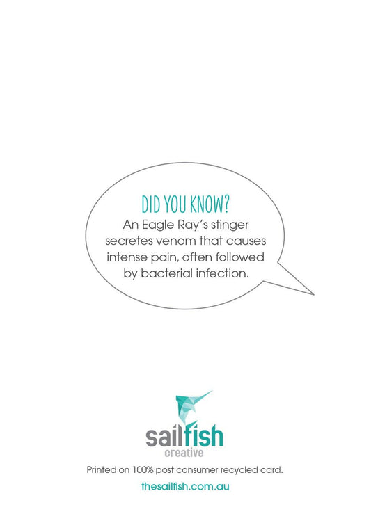 Birthday Card - Spotted Eagle Ray