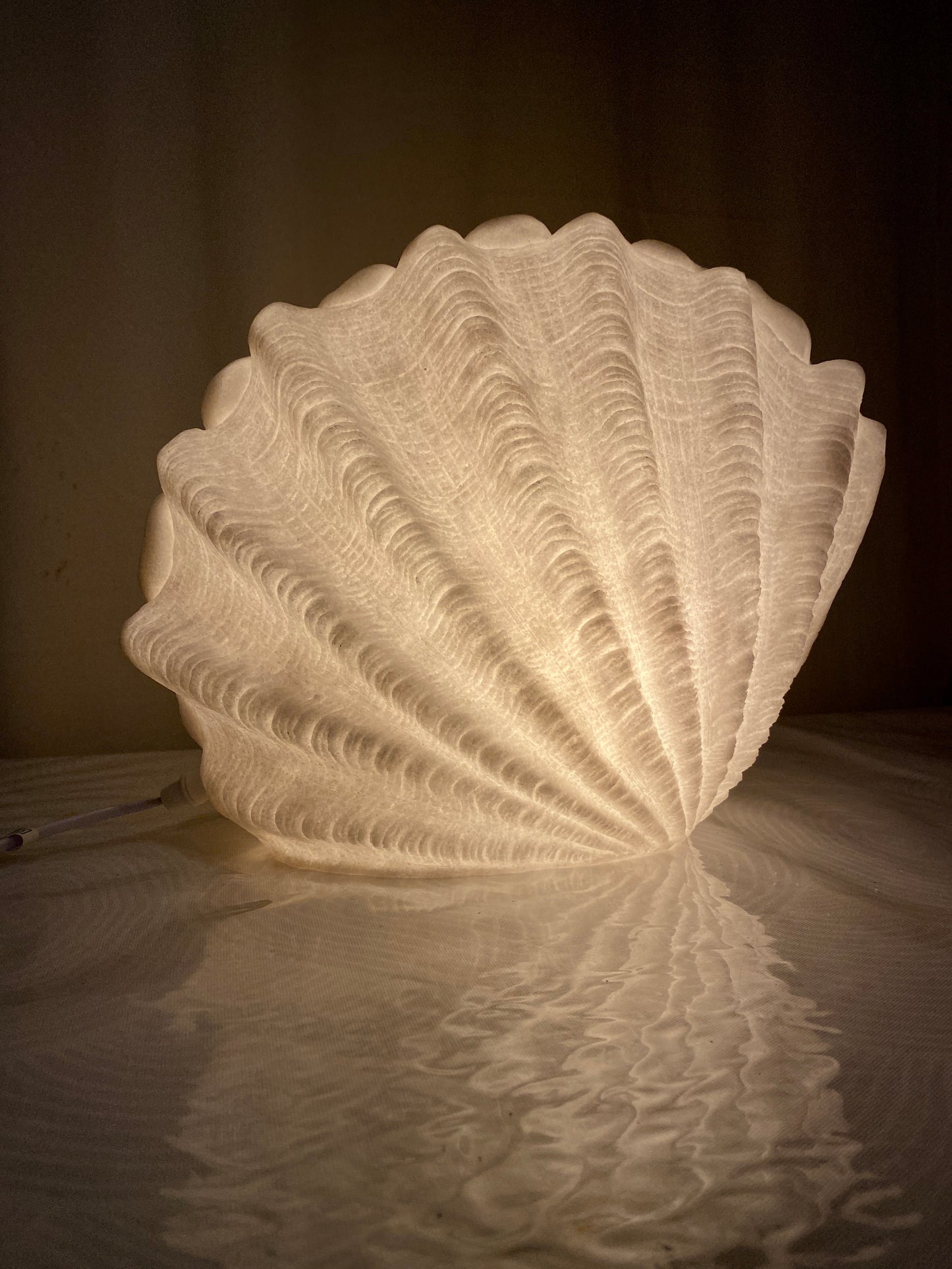 Clam Shell Reef Lamp