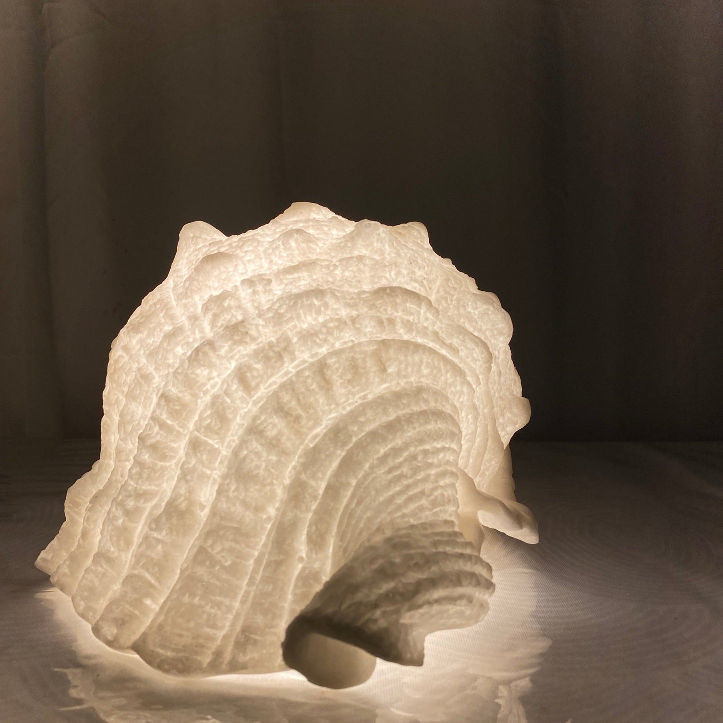 Coastal ambient lighting inspired by ocean shell textures