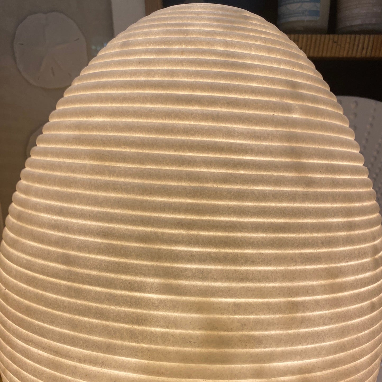Handcrafted Coral Curve Reef Lamp – Shell Shaped Coastal Ambient Light
