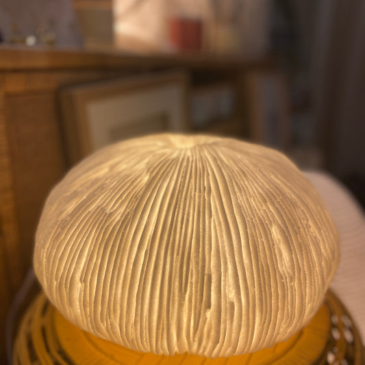 Round Razor Reef Lamp – Coral-Shaped Coastal Nightlight