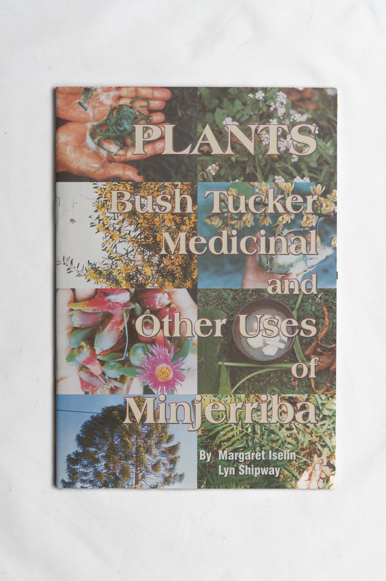 Plants, Bush Tucker, Medicinal & Other Uses of Minjerriba