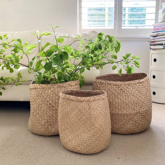 Seagrass Baskets - Set of 3