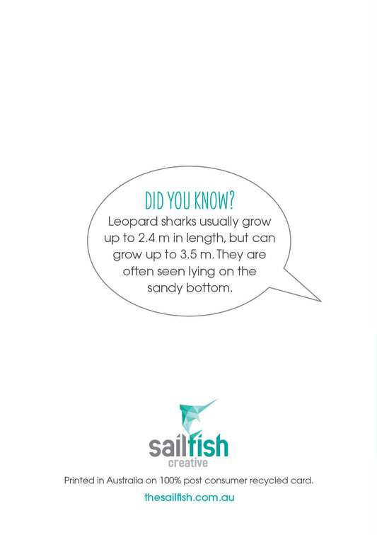 Other Card - Leopard Shark