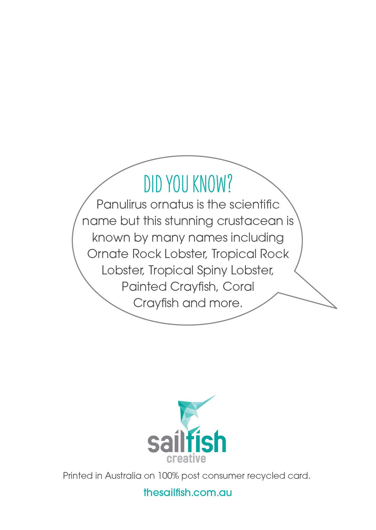 Greeting Card - Painted Cray