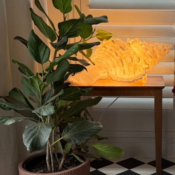 Sculptural conch shell lamp for coastal interiors