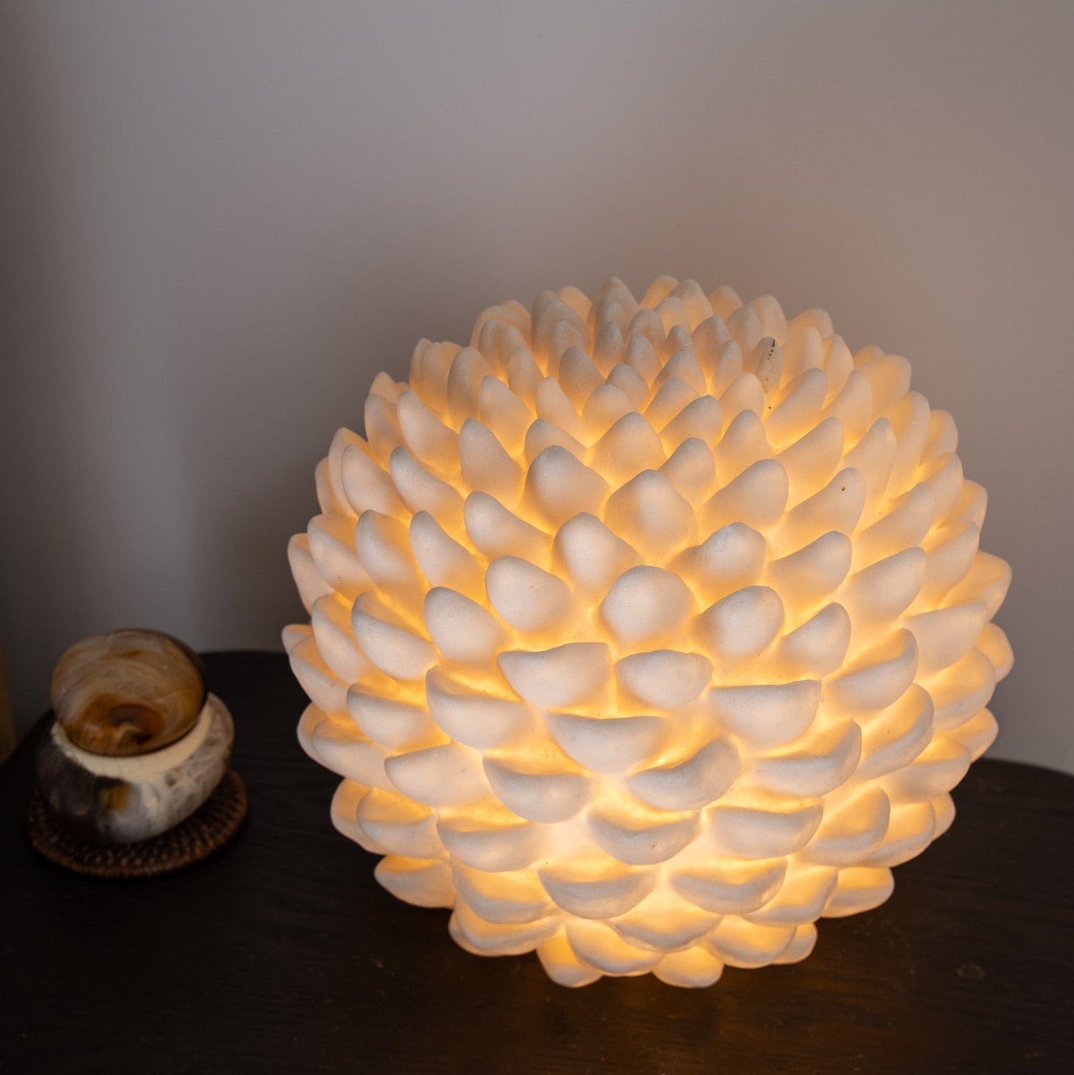 succulent light lamp Handcrafted Succulent Lamp – Sculptural Organic Ambient Light – STARFISH STUDIO