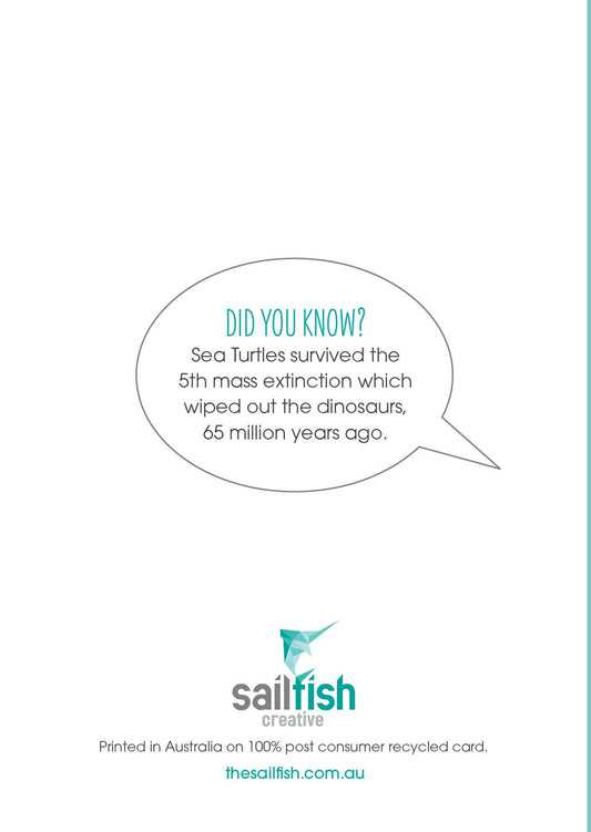 Birthday Card - Juvenile Green Turtle