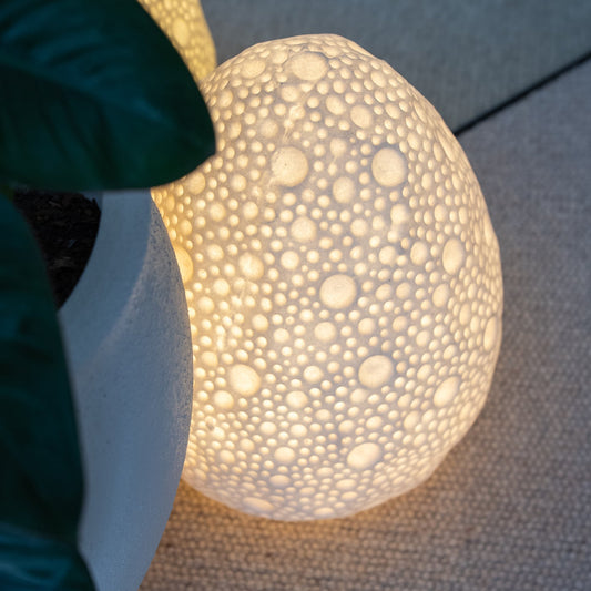 Sculptural oval coral lamp for coastal interiors