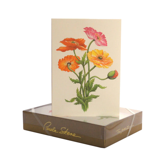 Colorful Poppies Blank Card