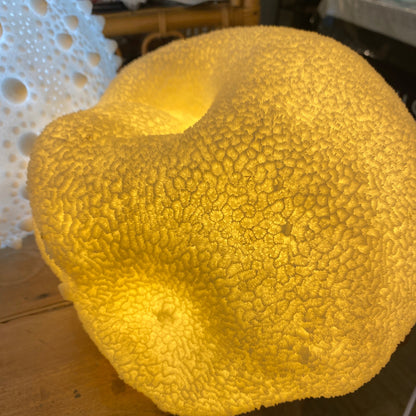 Coral Shell Reef Lamp – Coastal Night Light