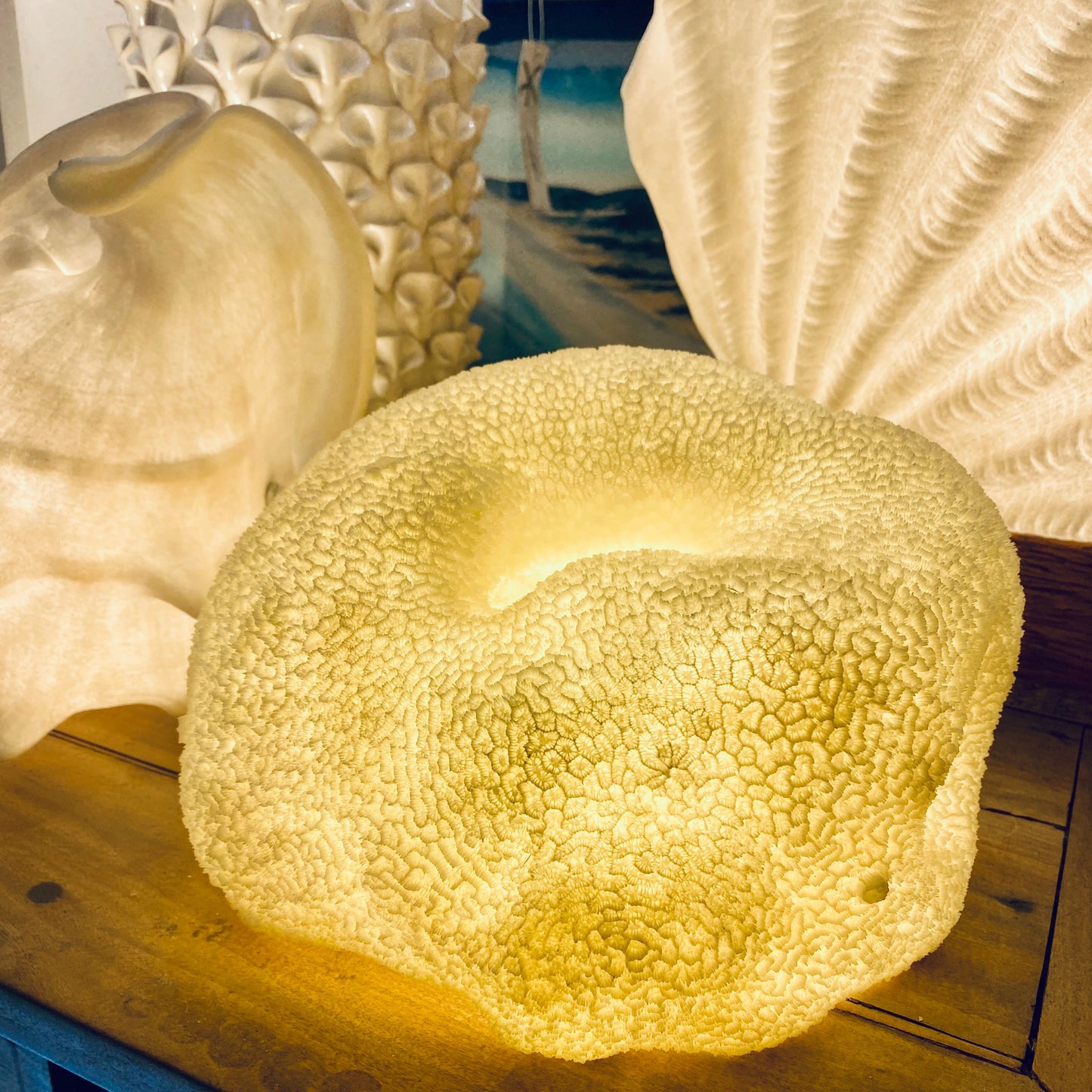 Coral Shell Reef Lamp – Coastal Night Light