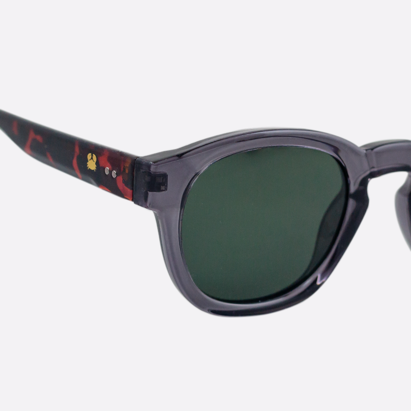 OCEANIDES POLARISED SUNGLASSES - ATLAS CRYSTAL GRAY TORTOISE