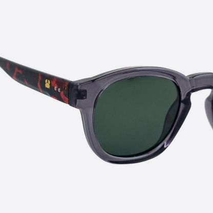OCEANIDES POLARISED SUNGLASSES - ATLAS CRYSTAL GRAY TORTOISE