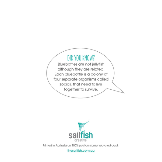 Other Card - Bluebottle