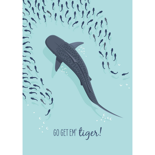 Other Card - Tiger Shark