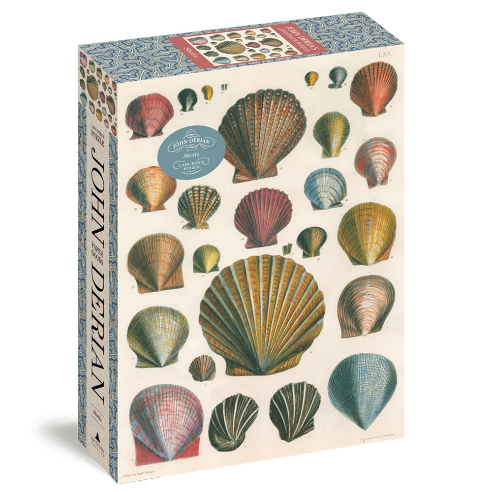 John Derian- Shells Puzzle - 1000Pce