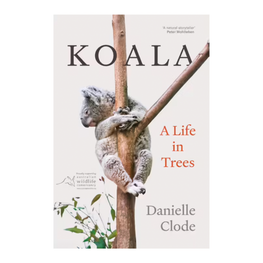 Koala - A Life in Trees