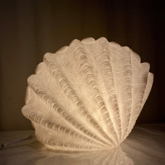 Clam Shell Reef Lamp