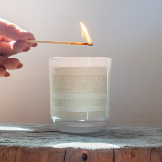 Candle - STRADBROKE SUNRISE - Coconut +Lime