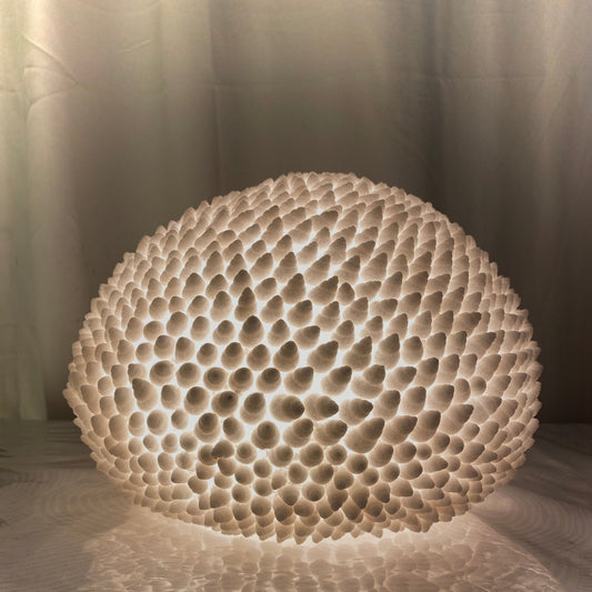 Cone Shell Reef Lamp