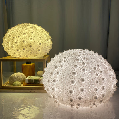 Sea Urchin Shell, Reef Lamp - Extra Large