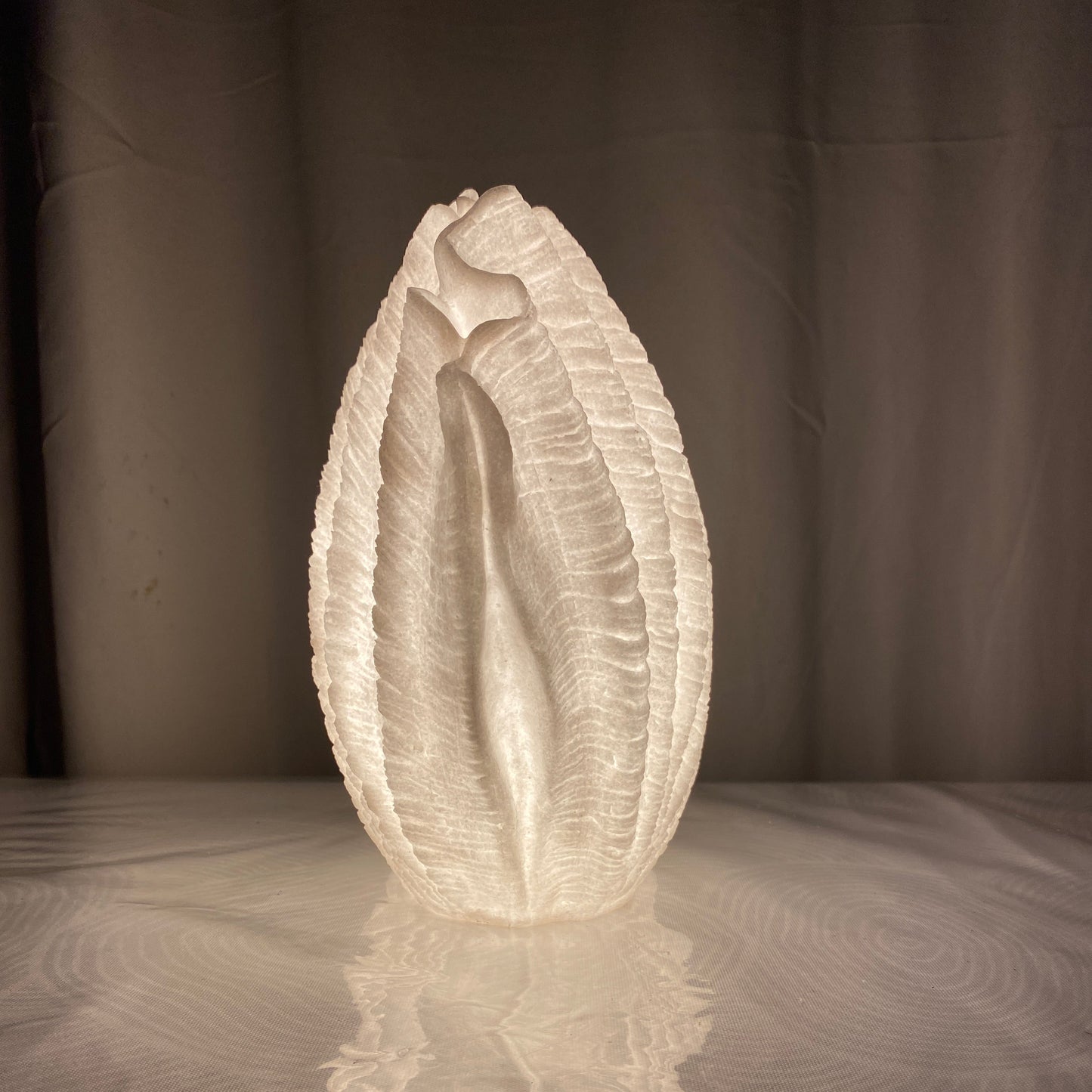 Handcrafted Clam Shell Reef Lamp Large – Coastal Sculptural Ambient Light