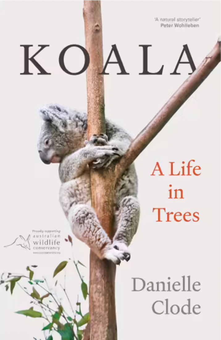 Koala - A Life in Trees