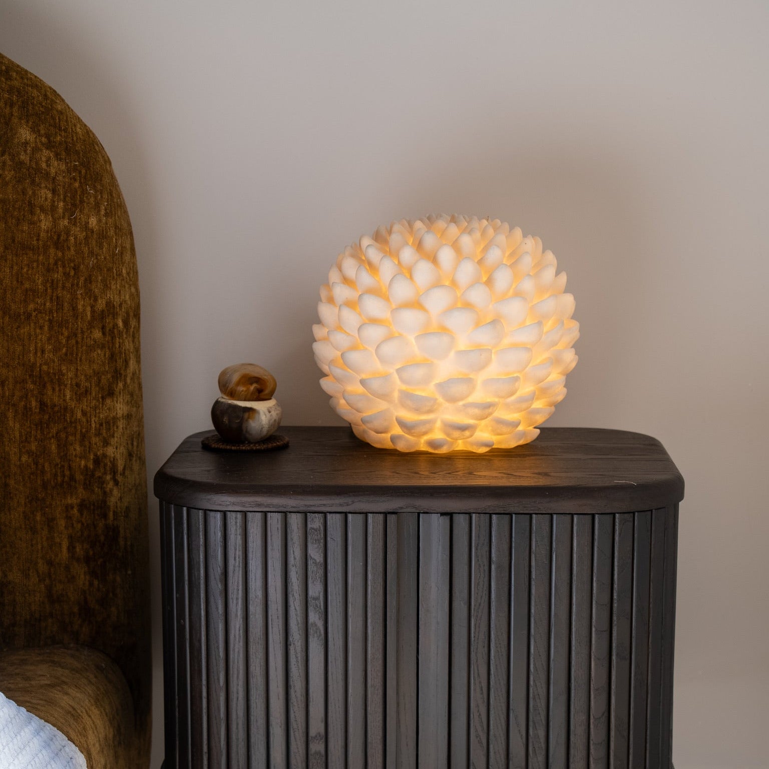Organic textured succulent lamp illuminated indoors