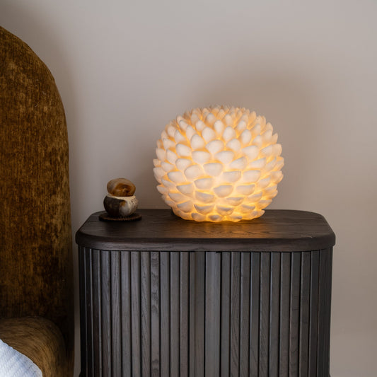 Organic textured succulent lamp illuminated indoors