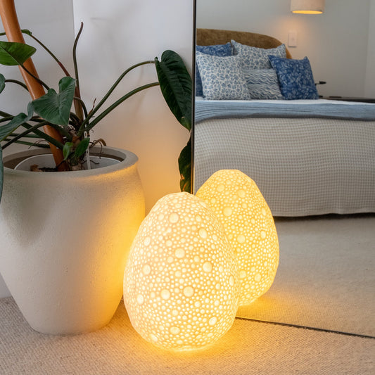 Dotted Oval Reef Lamp glowing beside a large indoor plant in a coastal bedroom