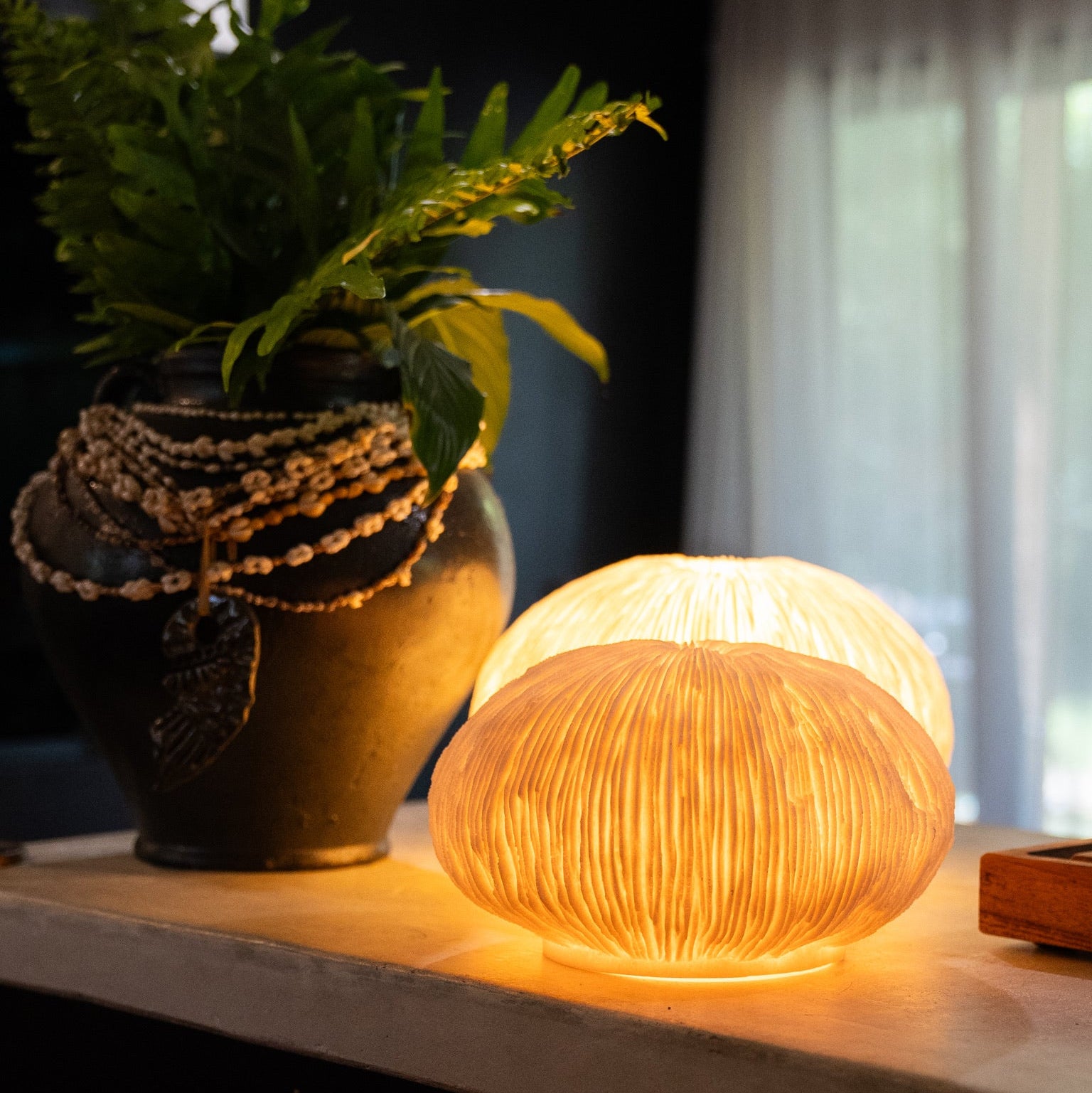 Handcrafted Round Razor Reef Lamp – Coastal Sculptural Ambient Lightin ...