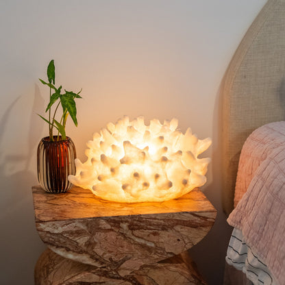Handcrafted coral shell lamp glowing with warm ambient light