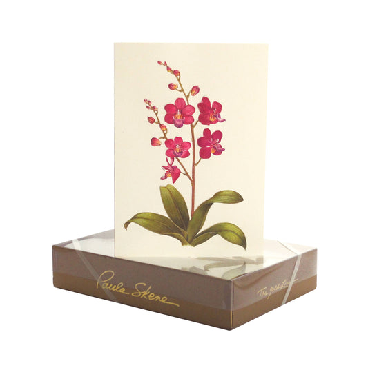 Orchid Blank Card