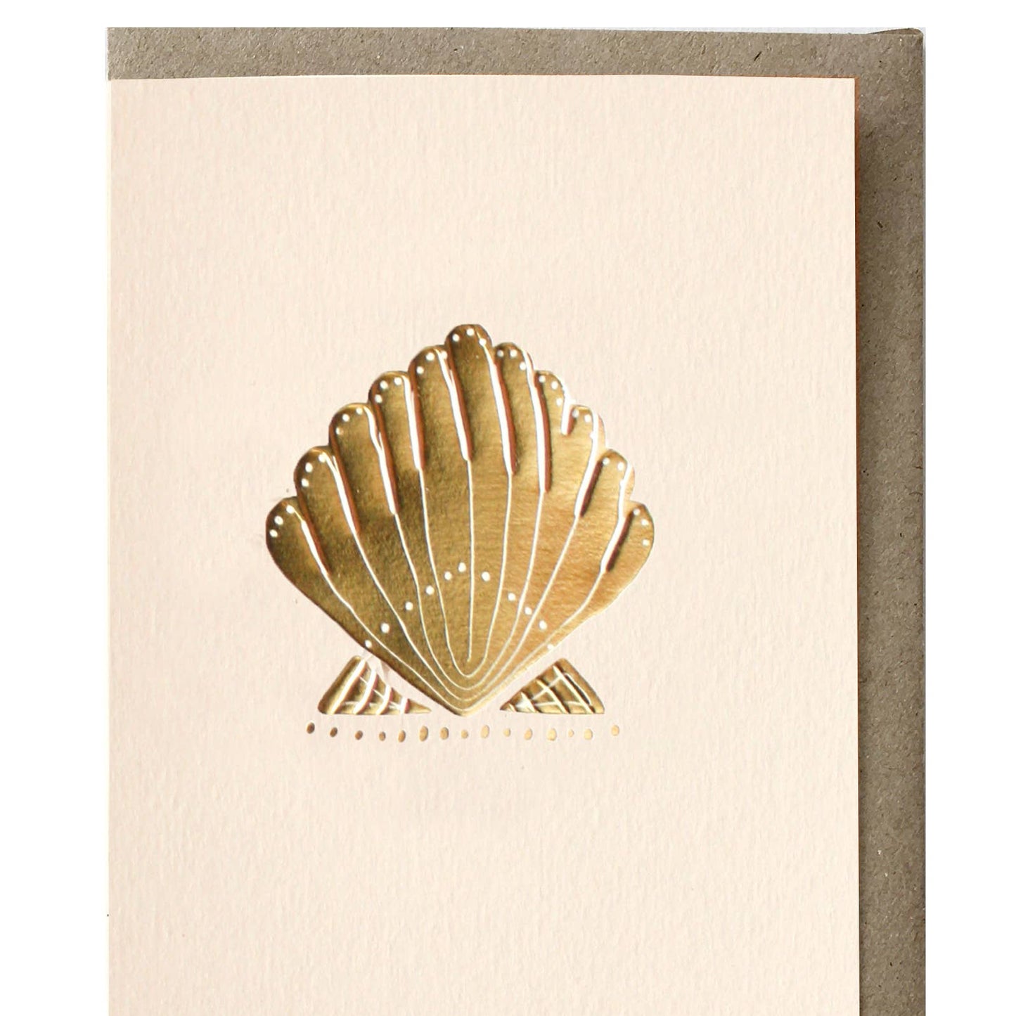 Seashell Greeting Card