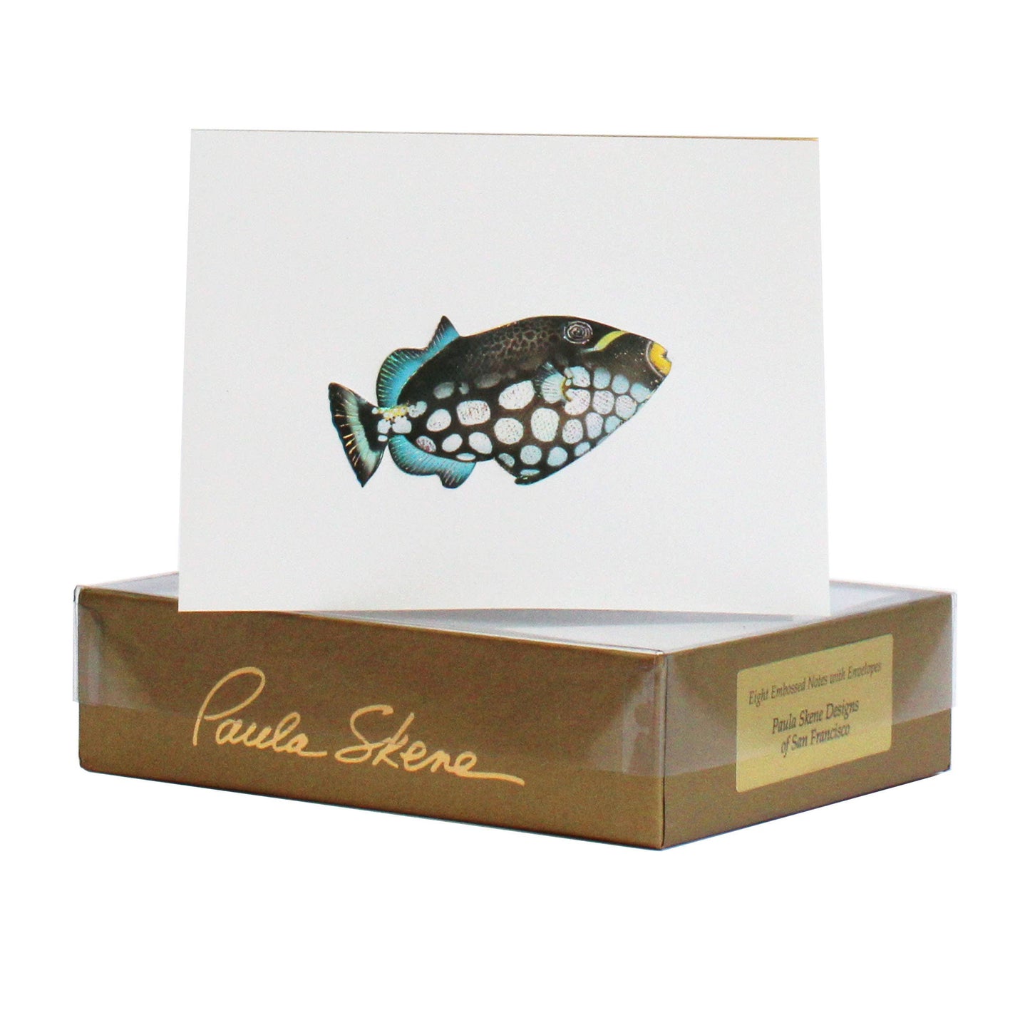 Trigger Fish Blank Card