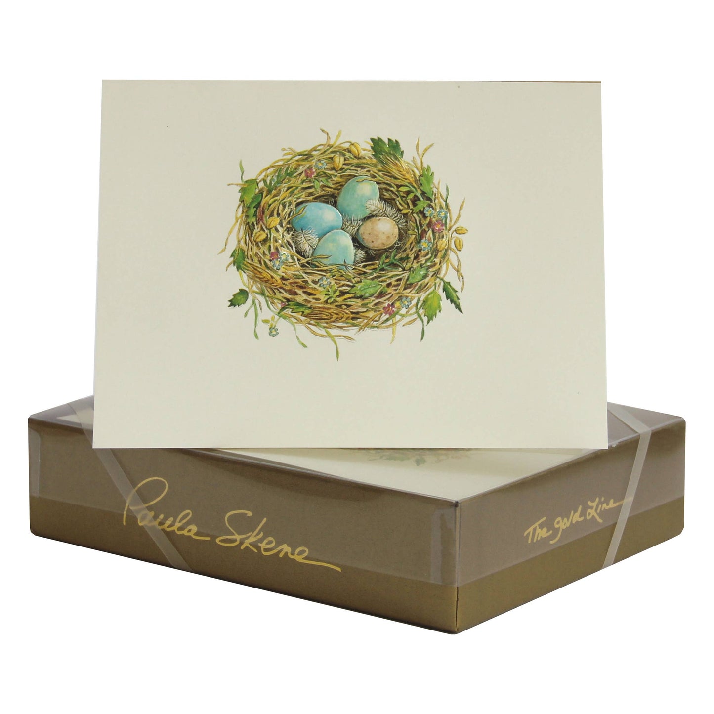 Nest Blank Card