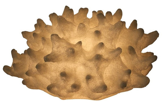 Organic textured coral lamp illuminated on neutral background