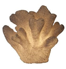 culptural Buckhorn coral lamp for coastal interiors