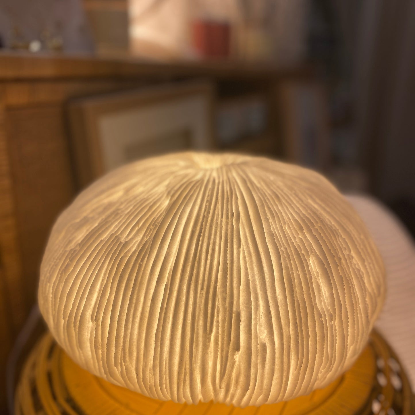 Coral-shaped coastal lamp for modern interiors